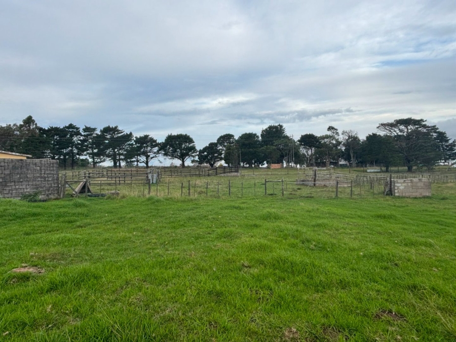Commercial Property for Sale in Colleen Glen Eastern Cape